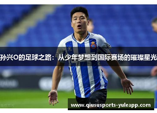 孙兴O的足球之路：从少年梦想到国际赛场的璀璨星光